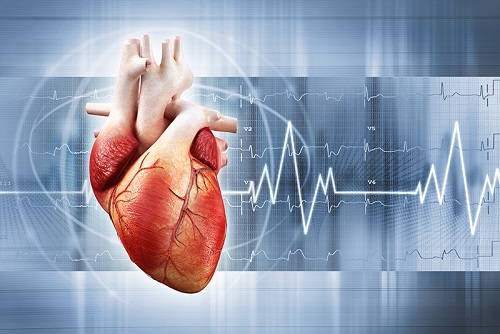 Kalp ve Damar Hastalıklarına Neden Olan Faktörler Nelerdir?