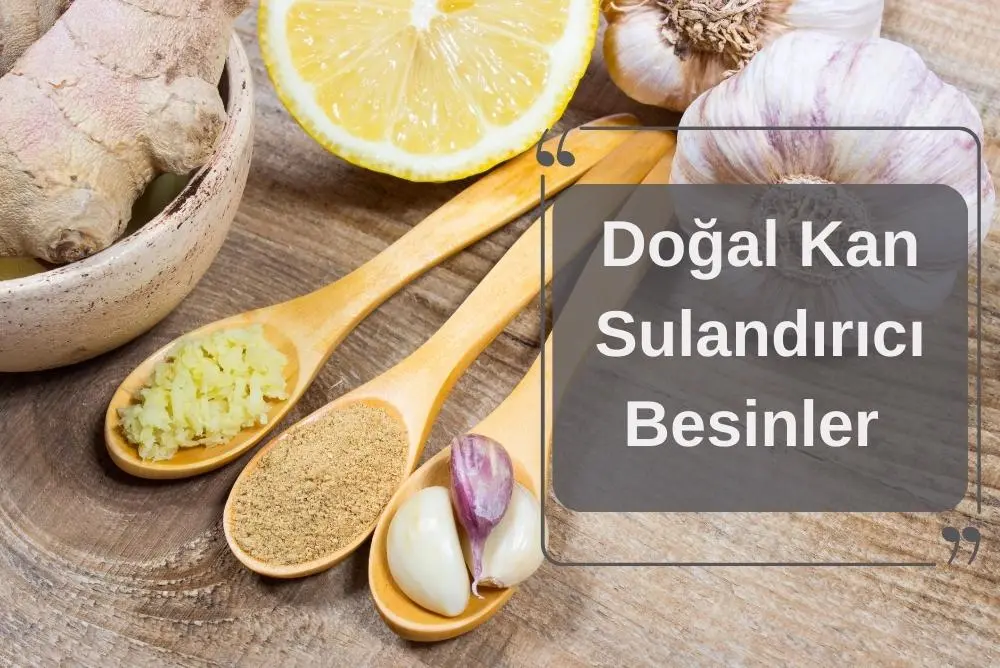 Doğal Kan Sulandırıcı Besinler Nelerdir? Doğal Kan Sulandırıcı Besinler Nelerdir?