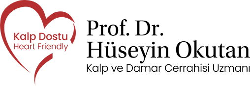 huseyin-okutan-logo-light